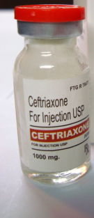 tajdrug_Ceftriaxone Injection2